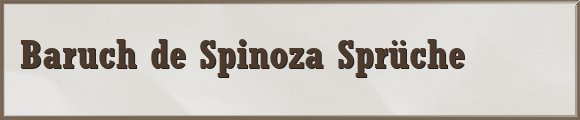 Baruch de Spinoza Sprüche