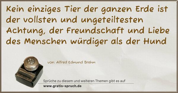 Kein einziges Tier der ganzen Erde ist der vollsten und ungeteiltesten Achtung, der Freundschaft und Liebe des Menschen würdiger als der Hund