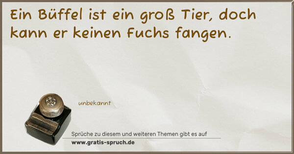 Ein Büffel ist ein groß Tier,
doch kann er keinen Fuchs fangen.