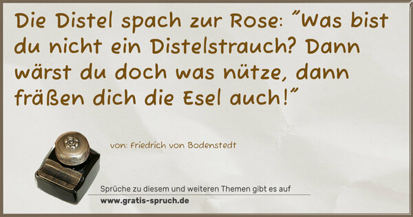 Die Distel spach zur Rose:
