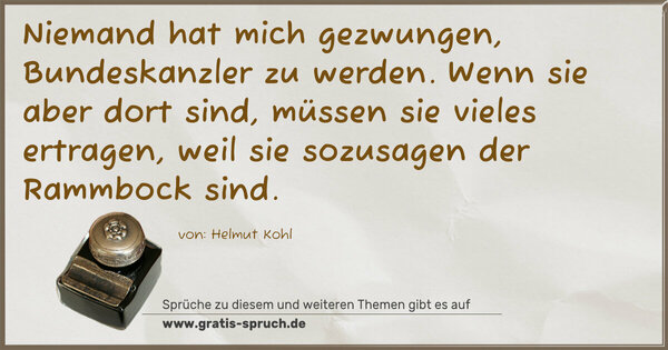 Niemand hat mich gezwungen, Bundeskanzler zu werden.
Wenn sie aber dort sind, müssen sie vieles ertragen,
weil sie sozusagen der Rammbock sind.