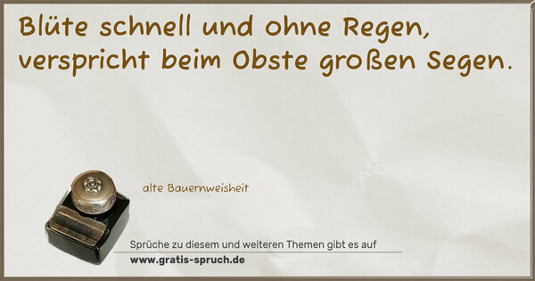 Blüte schnell und ohne Regen,
verspricht beim Obste großen Segen.