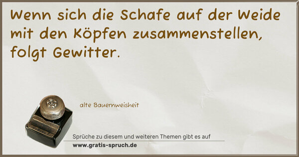 Wenn sich die Schafe auf der Weide
mit den Köpfen zusammenstellen,
folgt Gewitter.