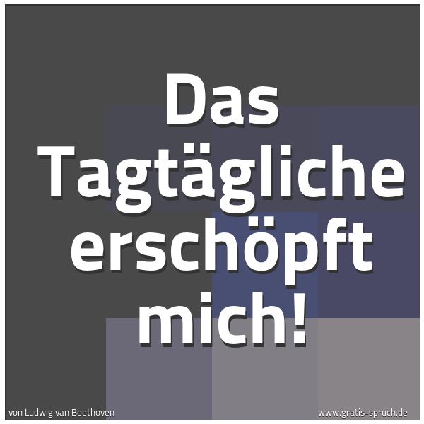 Spruchbild mit dem Text 'Das Tagtägliche erschöpft mich!'
