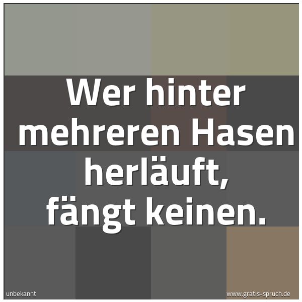 Spruchbild mit dem Text 'Wer hinter mehreren Hasen herläuft,
fängt keinen.
'