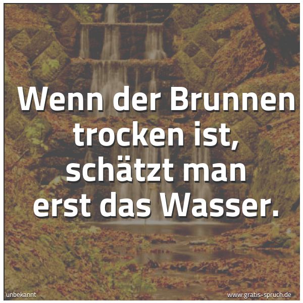 Spruchbild mit dem Text 'Wenn der Brunnen trocken ist,
schätzt man erst das Wasser.'