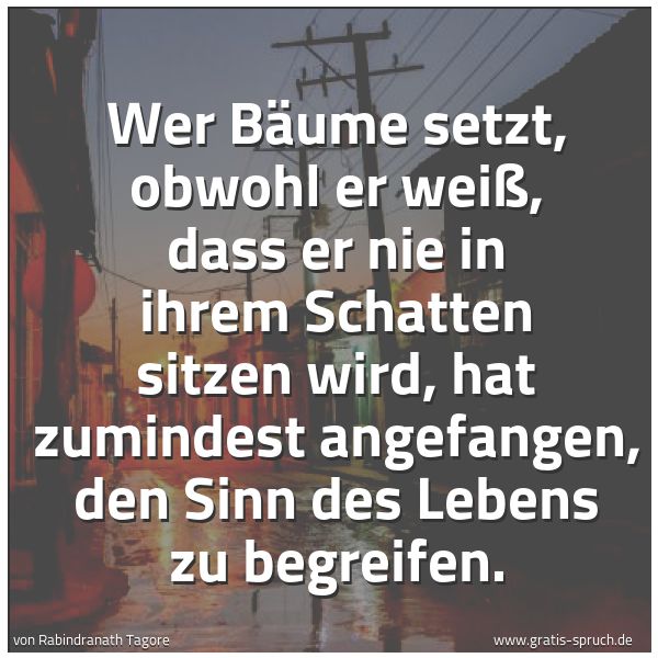 Spruchbild mit dem Text 'Wer Bäume setzt, obwohl er weiß,
dass er nie in ihrem Schatten sitzen wird,
hat zumindest angefangen,
den Sinn des Lebens zu begreifen.'