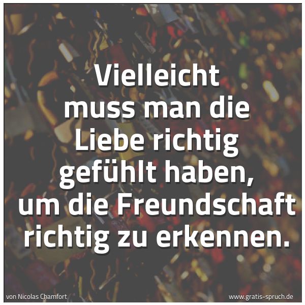 Spruchbild mit dem Text 'Vielleicht muss man die Liebe richtig gefühlt haben,
um die Freundschaft richtig zu erkennen.'