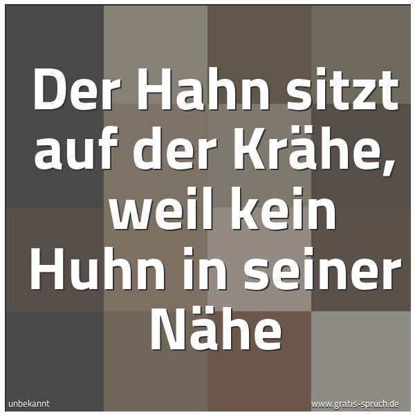 Spruchbild mit dem Text 'Der Hahn sitzt auf der Krähe,
weil kein Huhn in seiner Nähe'