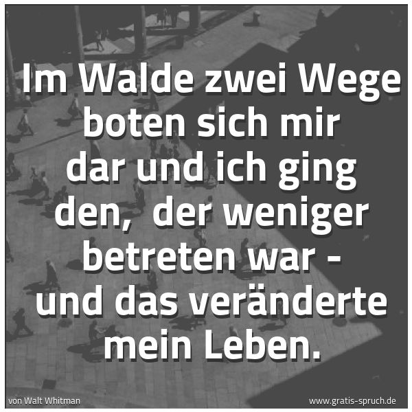 Spruchbild mit dem Text 'Im Walde zwei Wege boten sich mir dar und ich ging den,
der weniger betreten war - und das veränderte mein Leben.'