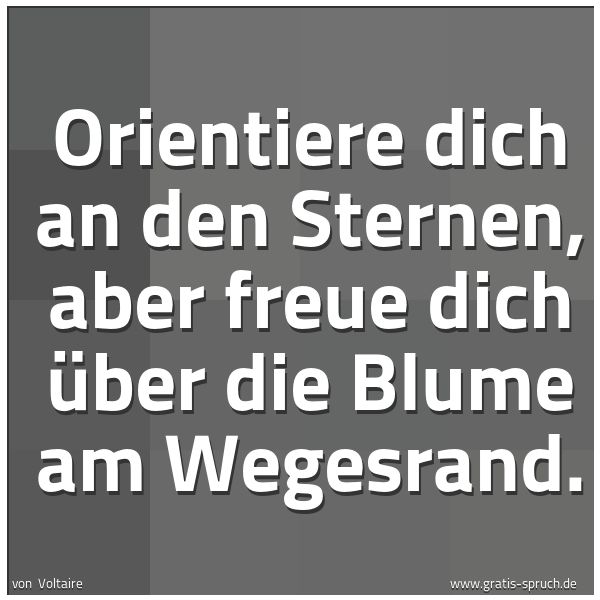 Spruchbild mit dem Text 'Orientiere dich an den Sternen,
aber freue dich über die Blume am Wegesrand.'