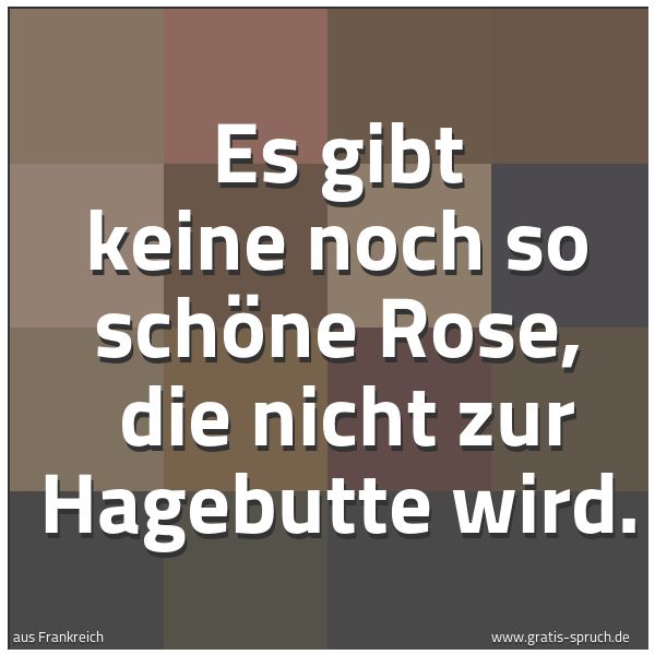 Spruchbild mit dem Text 'Es gibt keine noch so schöne Rose,
die nicht zur Hagebutte wird.'