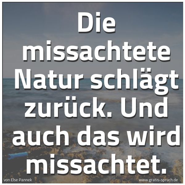 Spruchbild mit dem Text 'Die missachtete Natur schlägt zurück.
Und auch das wird missachtet.'
