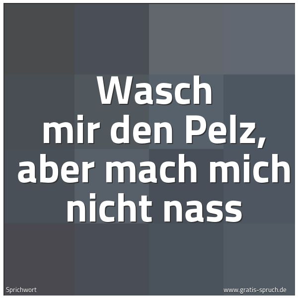 Spruchbild mit dem Text 'Wasch mir den Pelz,
aber mach mich nicht nass'