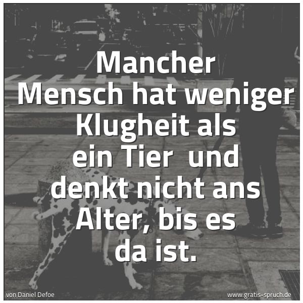 Spruchbild mit dem Text 'Mancher Mensch hat weniger Klugheit als ein Tier
und denkt nicht ans Alter, bis es da ist.'