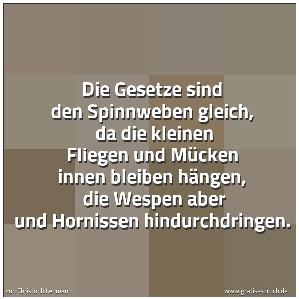 Spruchbild mit dem Text 'Die Gesetze sind den Spinnweben gleich,
da die kleinen Fliegen und Mücken innen bleiben hängen,
die Wespen aber und Hornissen hindurchdringen.'