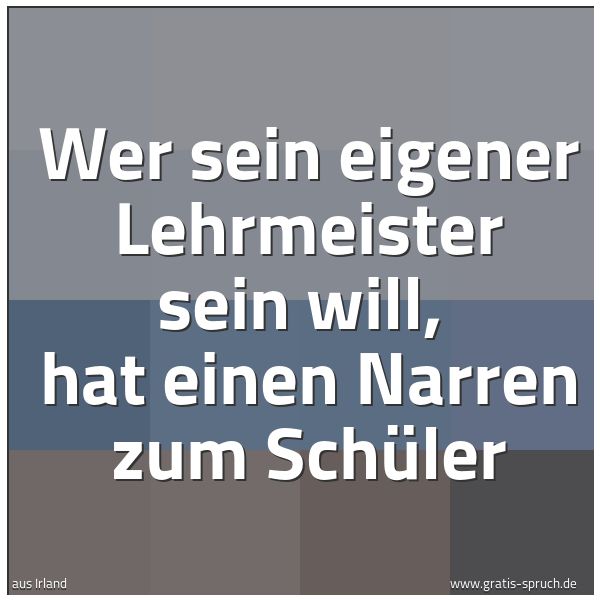 Spruchbild mit dem Text 'Wer sein eigener Lehrmeister sein will,
hat einen Narren zum Schüler'