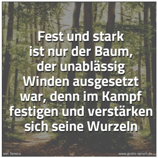 Spruchbild mit dem Text 'Fest und stark ist nur der Baum,
der unablässig Winden ausgesetzt war,
denn im Kampf festigen und verstärken sich seine Wurzeln'