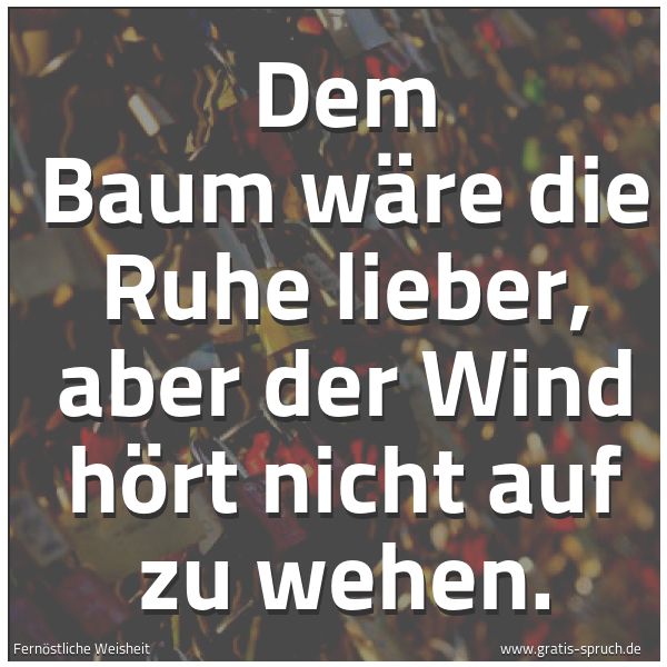 Spruchbild mit dem Text 'Dem Baum wäre die Ruhe lieber,
aber der Wind hört nicht auf zu wehen.'