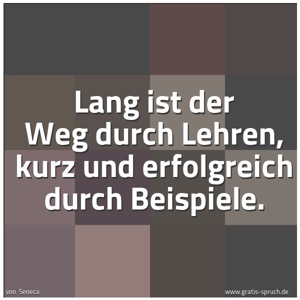 Spruchbild mit dem Text 'Lang ist der Weg durch Lehren,
kurz und erfolgreich durch Beispiele.'