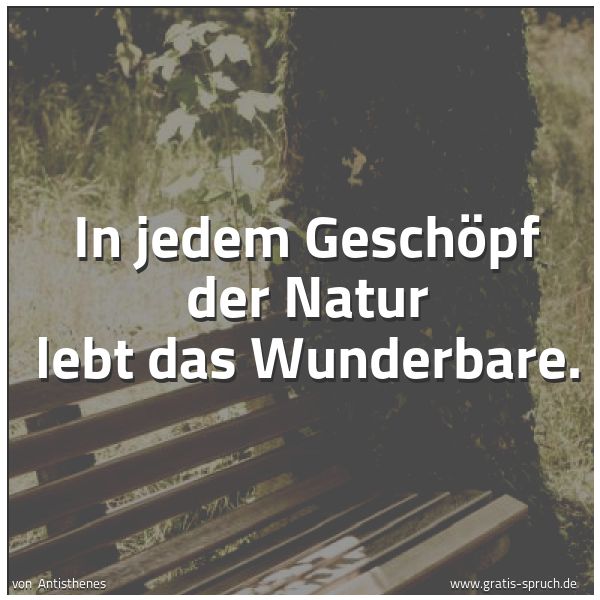 Spruchbild mit dem Text ' In jedem Geschöpf der Natur lebt das Wunderbare.
'