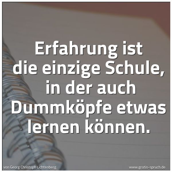 Spruchbild mit dem Text 'Erfahrung ist die einzige Schule,
in der auch Dummköpfe etwas lernen können.'