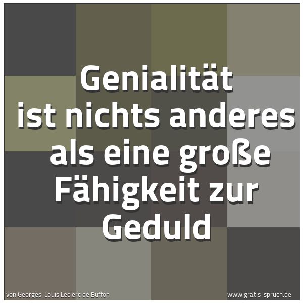 Spruchbild mit dem Text 'Genialität ist nichts anderes
als eine große Fähigkeit zur Geduld
'