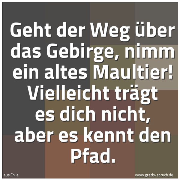 Spruchbild mit dem Text 'Geht der Weg über das Gebirge, nimm ein altes Maultier!
Vielleicht trägt es dich nicht, aber es kennt den Pfad.'