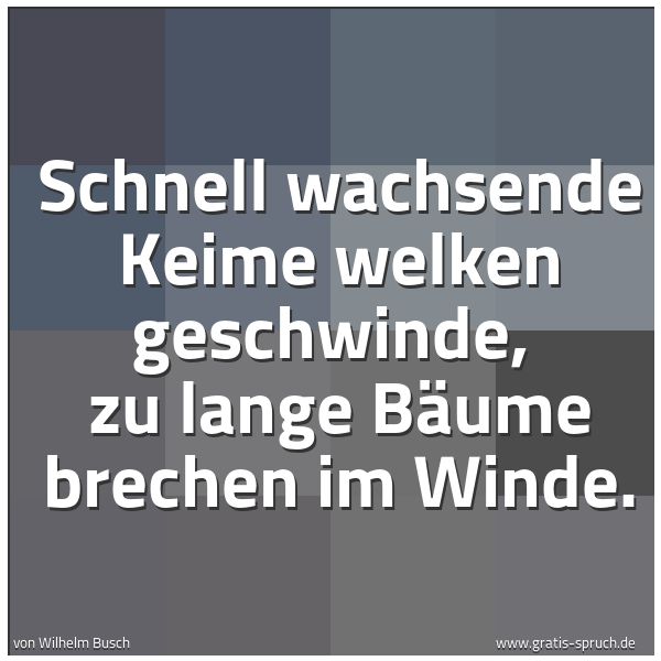 Spruchbild mit dem Text 'Schnell wachsende Keime welken geschwinde,
zu lange Bäume brechen im Winde.'