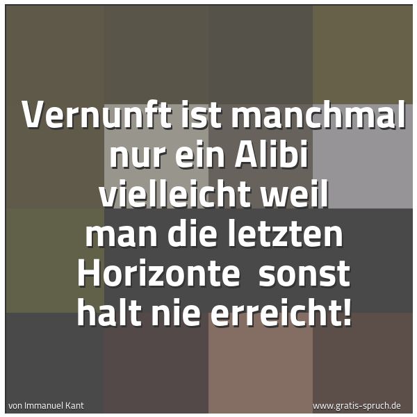 Spruchbild mit dem Text 'Vernunft ist manchmal nur ein Alibi
vielleicht weil man die letzten Horizonte
sonst halt nie erreicht!'