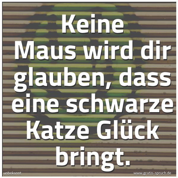 Spruchbild mit dem Text 'Keine Maus wird dir glauben,
dass eine schwarze Katze Glück bringt.'