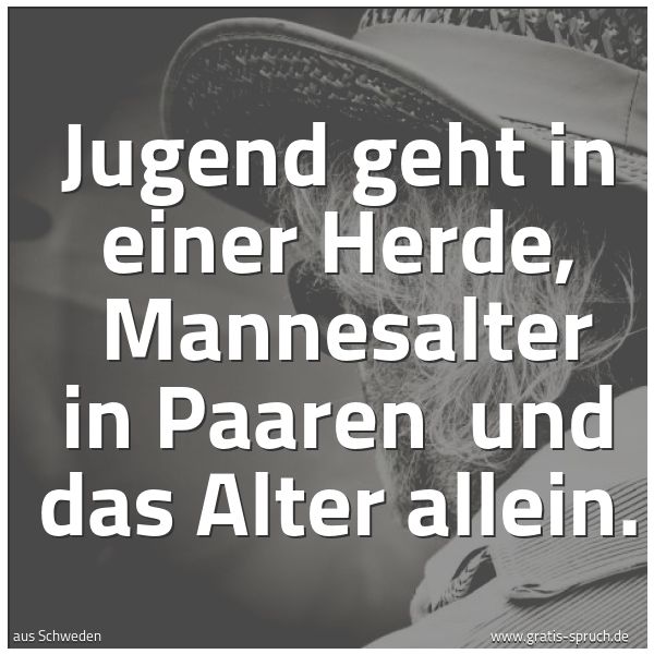 Spruchbild mit dem Text 'Jugend geht in einer Herde,
Mannesalter in Paaren
und das Alter allein.'