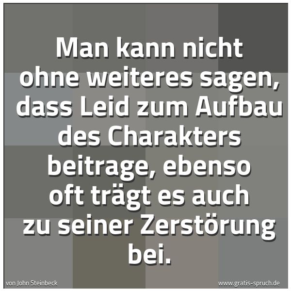 Spruchbild mit dem Text 'Man kann nicht ohne weiteres sagen, dass Leid zum Aufbau des Charakters beitrage, ebenso oft trägt es auch zu seiner Zerstörung bei. '