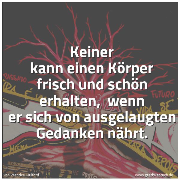 Spruchbild mit dem Text 'Keiner kann einen Körper frisch und schön erhalten,
wenn er sich von ausgelaugten Gedanken nährt.'