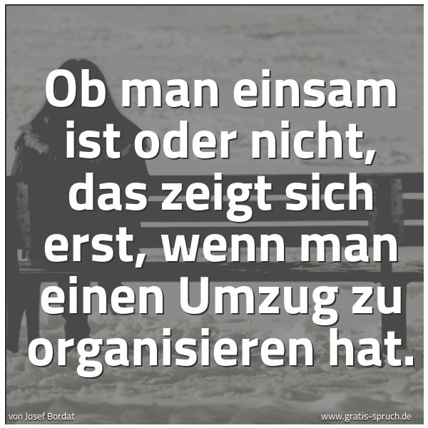 Spruchbild mit dem Text 'Ob man einsam ist oder nicht, das zeigt sich erst,
wenn man einen Umzug zu organisieren hat.'