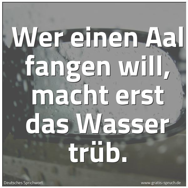 Spruchbild mit dem Text 'Wer einen Aal fangen will, macht erst das Wasser trüb.'