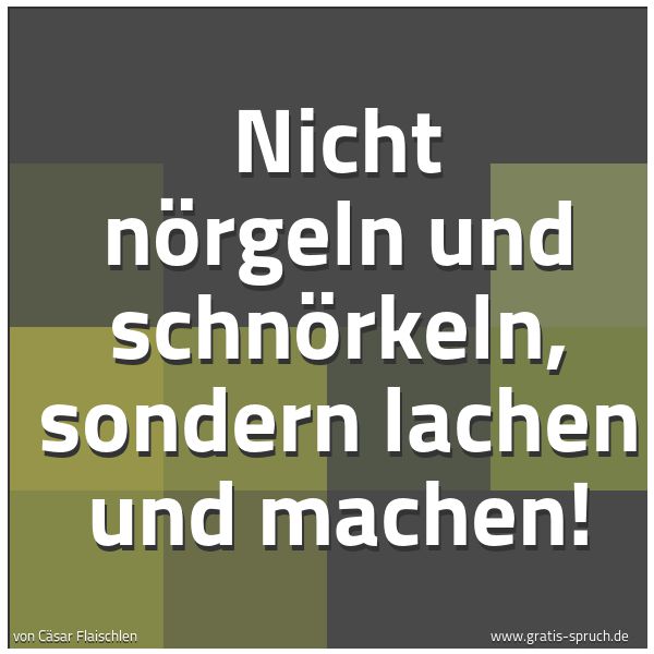 Spruchbild mit dem Text 'Nicht nörgeln und schnörkeln,
sondern lachen und machen!'