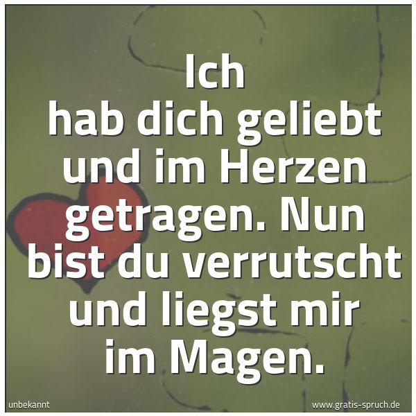 Spruchbild mit dem Text 'Ich hab dich geliebt und im Herzen getragen.
Nun bist du verrutscht und liegst mir im Magen.'