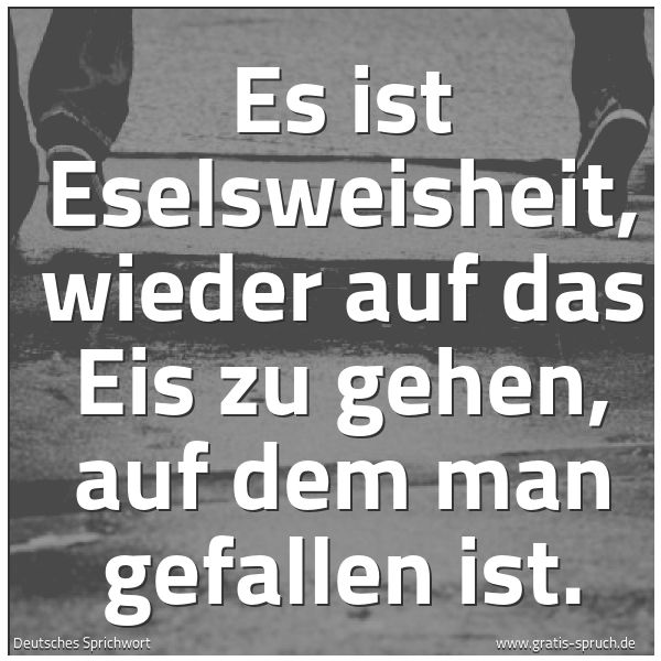 Spruchbild mit dem Text 'Es ist Eselsweisheit, wieder auf das Eis zu gehen,
auf dem man gefallen ist.'