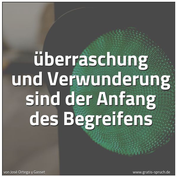 Spruchbild mit dem Text 'Überraschung und Verwunderung sind der Anfang des Begreifens'