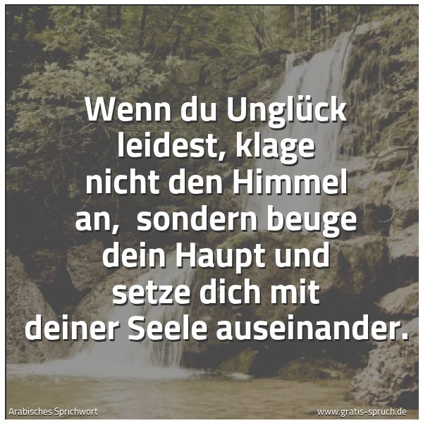 Spruchbild mit dem Text 'Wenn du Unglück leidest, klage nicht den Himmel an,
sondern beuge dein Haupt und setze dich mit deiner Seele auseinander. '