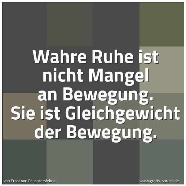 Spruchbild mit dem Text 'Wahre Ruhe ist nicht Mangel an Bewegung.
Sie ist Gleichgewicht der Bewegung.
'