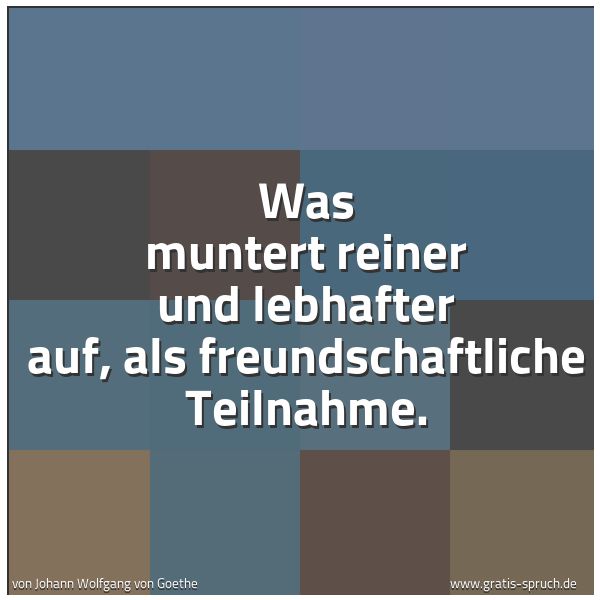 Spruchbild mit dem Text 'Was muntert reiner und lebhafter auf,
als freundschaftliche Teilnahme.'