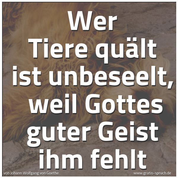 Spruchbild mit dem Text 'Wer Tiere quält ist unbeseelt,
weil Gottes guter Geist ihm fehlt'