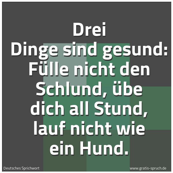 Spruchbild mit dem Text 'Drei Dinge sind gesund:
Fülle nicht den Schlund,
übe dich all Stund,
lauf nicht wie ein Hund.'