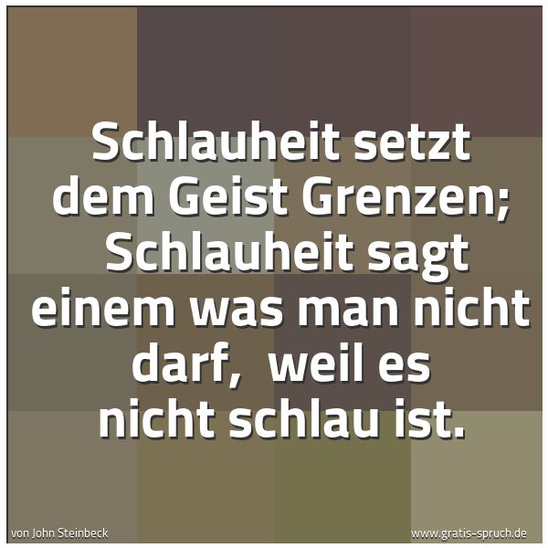 Spruchbild mit dem Text 'Schlauheit setzt dem Geist Grenzen;
Schlauheit sagt einem was man nicht darf,
weil es nicht schlau ist. '
