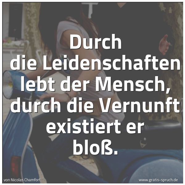 Spruchbild mit dem Text 'Durch die Leidenschaften lebt der Mensch,
durch die Vernunft existiert er bloß.'