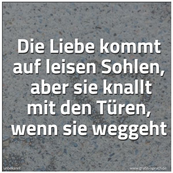 Spruchbild mit dem Text 'Die Liebe kommt auf leisen Sohlen,
aber sie knallt mit den Türen, wenn sie weggeht'