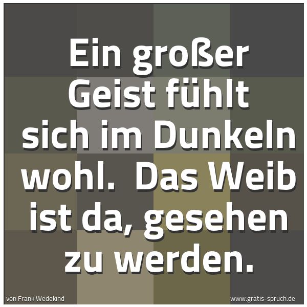 Spruchbild mit dem Text 'Ein großer Geist fühlt sich im Dunkeln wohl.
Das Weib ist da, gesehen zu werden.'