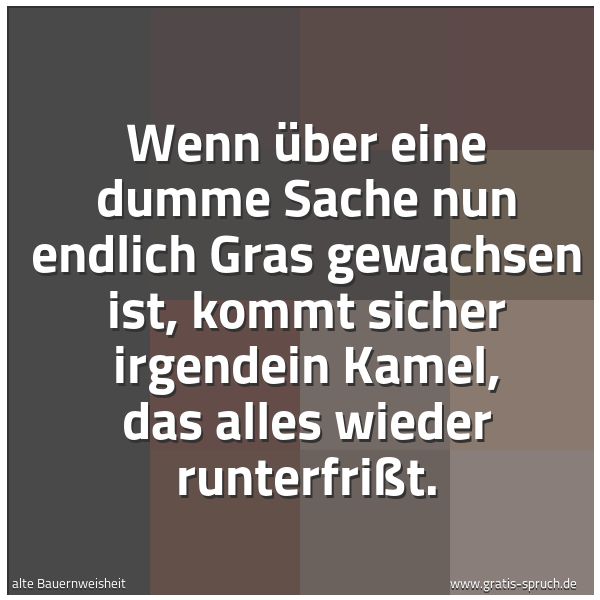 Spruchbild mit dem Text 'Wenn über eine dumme Sache
nun endlich Gras gewachsen ist,
kommt sicher irgendein Kamel,
das alles wieder runterfrißt.'